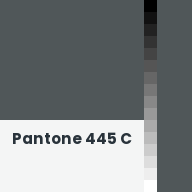 Color chip: Pantone 445 C