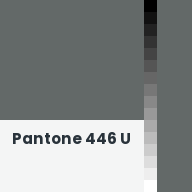 Color chip: Pantone 446 U
