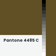 Color chip: Pantone 4485 C