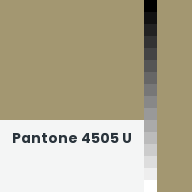 Color chip: Pantone 4505 U