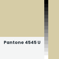 Color chip: Pantone 4545 U