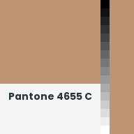 Color chip: Pantone 4655 C