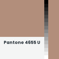 Color chip: Pantone 4655 U