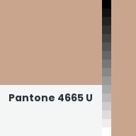Color chip: Pantone 4665 U