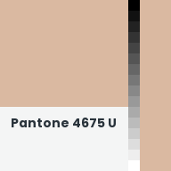 Color chip: Pantone 4675 U