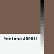 Color chip: Pantone 4695 U