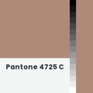 Color chip: Pantone 4725 C