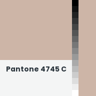 Color chip: Pantone 4745 C