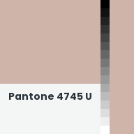 Color chip: Pantone 4745 U