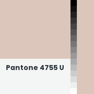 Color chip: Pantone 4755 U