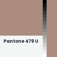 Color chip: Pantone 479 U