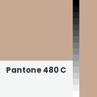 Color chip: Pantone 480 C