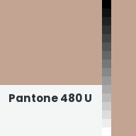 Color chip: Pantone 480 U