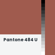 Color chip: Pantone 484 U