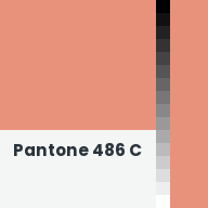 Color chip: Pantone 486 C