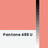 Color chip: Pantone 486 U