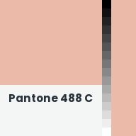Color chip: Pantone 488 C