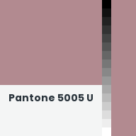 Color chip: Pantone 5005 U