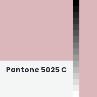 Color chip: Pantone 5025 C