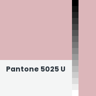 Color chip: Pantone 5025 U