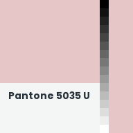 Color chip: Pantone 5035 U