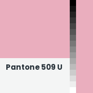 Color chip: Pantone 509 U