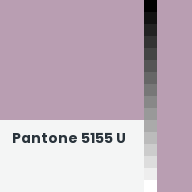 Color chip: Pantone 5155 U
