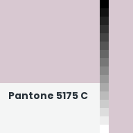 Color chip: Pantone 5175 C