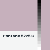 Color chip: Pantone 5225 C