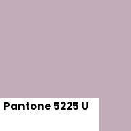 Color chip: Pantone 5225 U