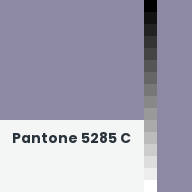 Color chip: Pantone 5285 C