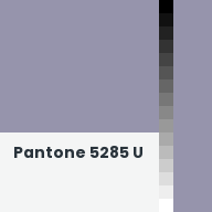 Color chip: Pantone 5285 U