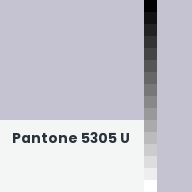 Color chip: Pantone 5305 U