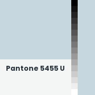 Color chip: Pantone 5455 U