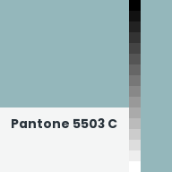 Color chip: Pantone 5503 C
