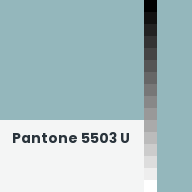 Color chip: Pantone 5503 U