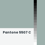 Color chip: Pantone 5507 C
