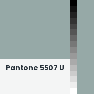 Color chip: Pantone 5507 U