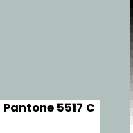Color chip: Pantone 5517 C