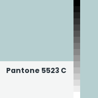 Color chip: Pantone 5523 C