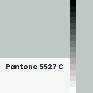 Color chip: Pantone 5527 C