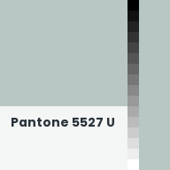 Color chip: Pantone 5527 U