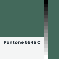 Color chip: Pantone 5545 C