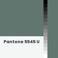 Color chip: Pantone 5545 U