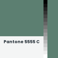 Color chip: Pantone 5555 C
