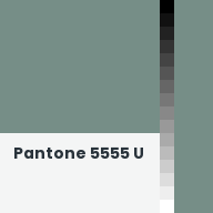 Color chip: Pantone 5555 U