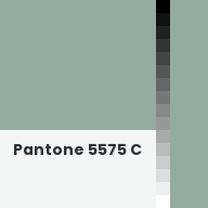 Color chip: Pantone 5575 C