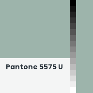 Color chip: Pantone 5575 U