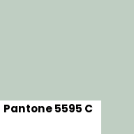 Color chip: Pantone 5595 C
