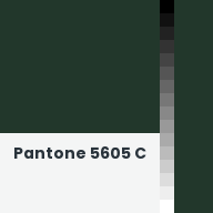 Color chip: Pantone 5605 C